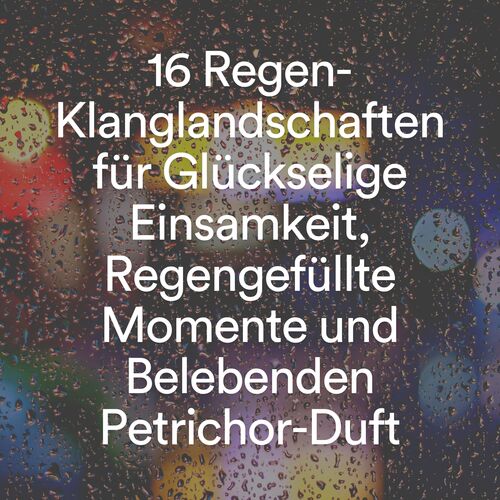 16 Regen-Klanglandschaften für Glückselige Einsamkeit, Regengefüllte Momente und Belebenden Petrichor-Duft_poster_image