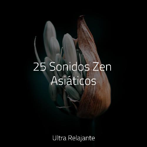Soñando Tranquilo cover art