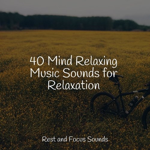 40 Mind Relaxing Music Sounds for Relaxation