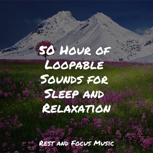 50 Hour of Loopable Sounds for Sleep and Relaxation