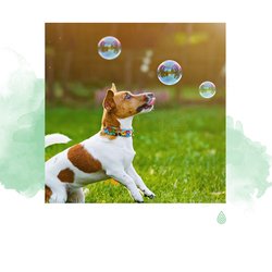 Détente Ensoleillé Tranquillisante dans la Vallée