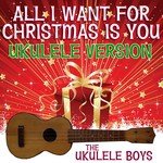 All I Want for Christmas Is You