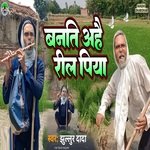 Banati ahay Reel Piya 2