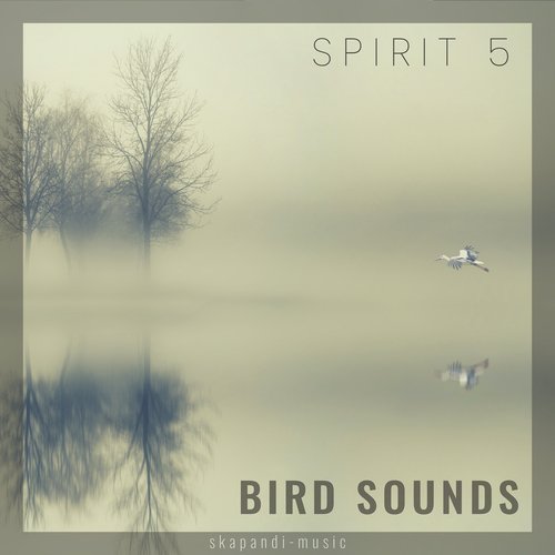 Nature Recordings cover art
