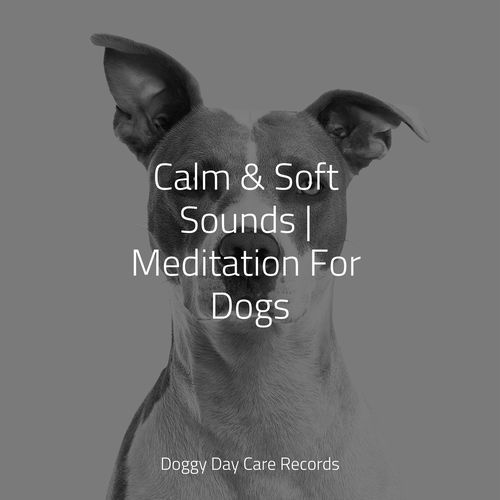 Calm & Soft Sounds | Meditation For Dogs