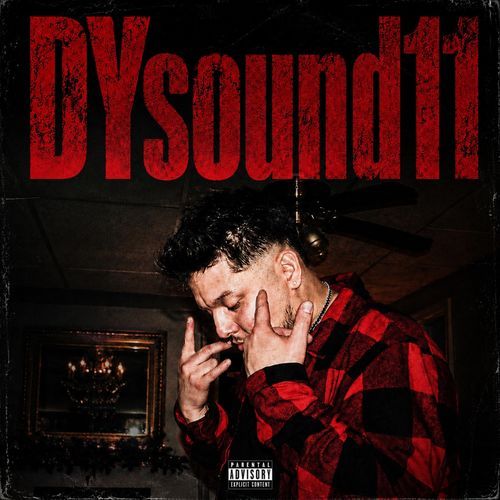 DYsound11