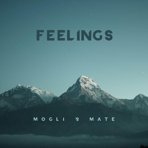 Feelings