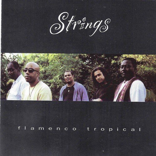 Flamenco Tropical