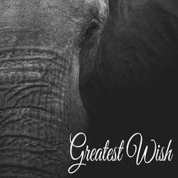 Meditation by the Sea