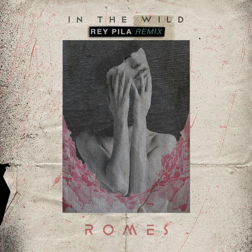 In The Wild (Rey Pila Remix) cover art