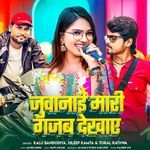 Juwanai Mari Gajab Dekhay