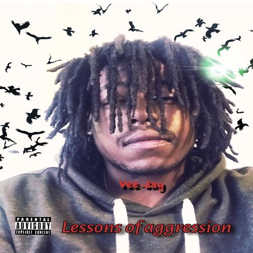 Soft cover art