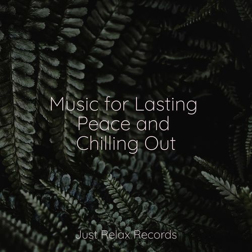 Music for Lasting Peace and Chilling Out