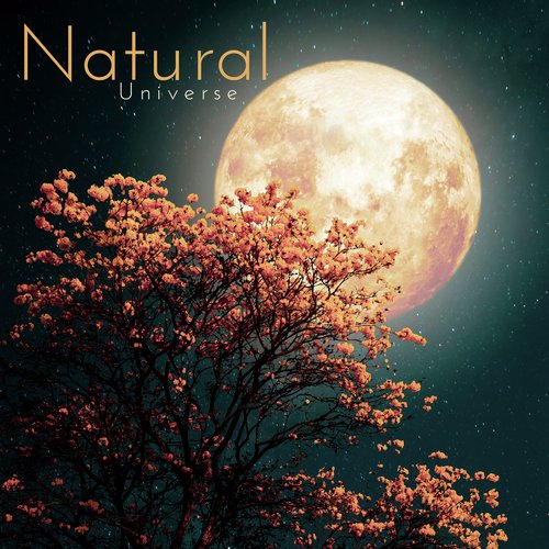 Nature Meditation cover art