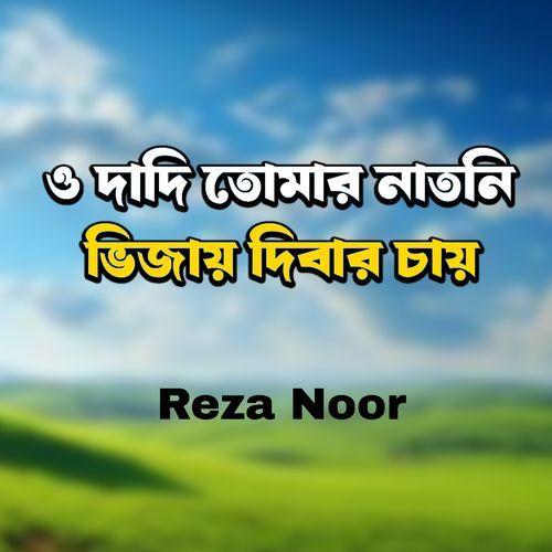 O Dadi Tomar Natni Bhijay Dibar Chay