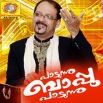Chembaruthipoovin