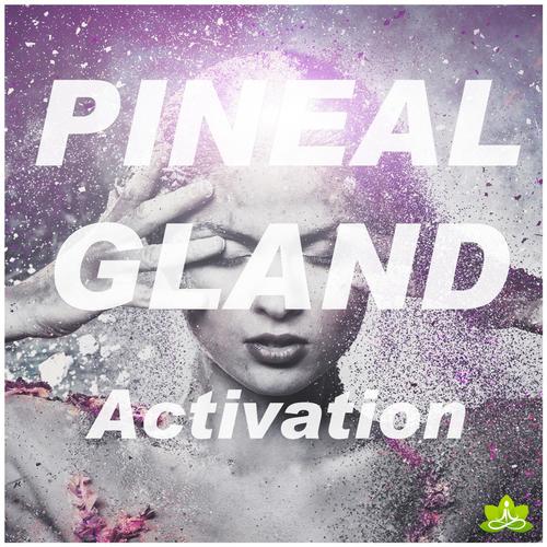 Pineal Gland Activation_poster_image