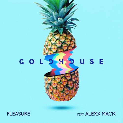 Pleasure (feat. Alexx Mack)_poster_image