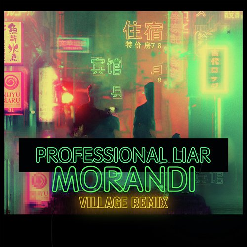 Professional Liar (Village Remix)
