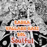 Radha Vallabh Hari Bol Soulful