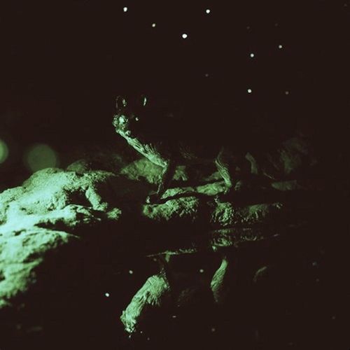 The Light (Aebeloe Remix) cover art