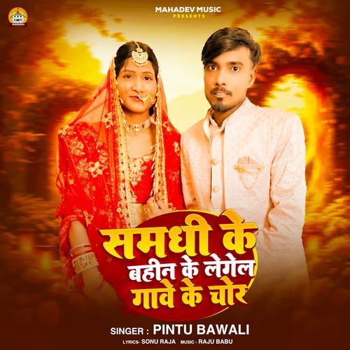 Samdhi Ke Bahin Ke Legel Gawe Ke Chor