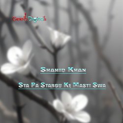 Sta Pa Stargu Ke Masti Swa