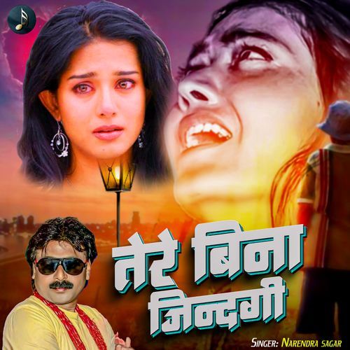 Tere Bina Jindagi
