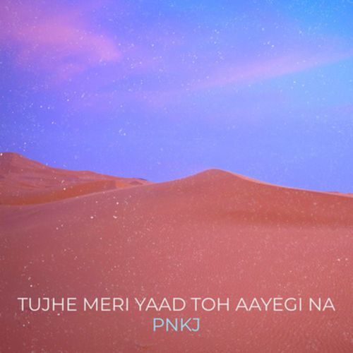 Tujhe Meri Yaad Toh Aayegi Na