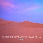 Tujhe Meri Yaad Toh Aayegi Na