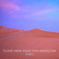 Tujhe Meri Yaad Toh Aayegi Na