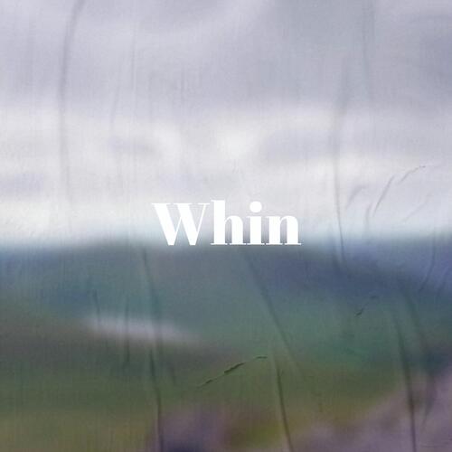 Ugliest Observation cover art