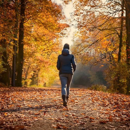 Whispers Of Tranquility: Music For Restful Moments