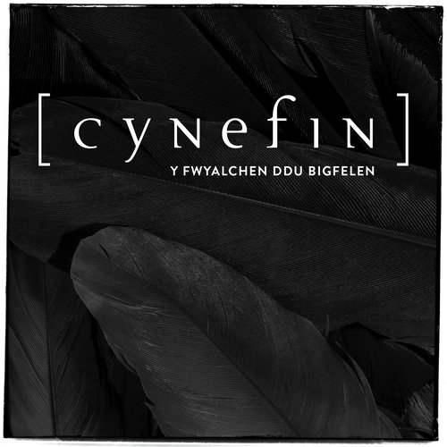 Y Fwyalchen Ddu Bigfelen cover art