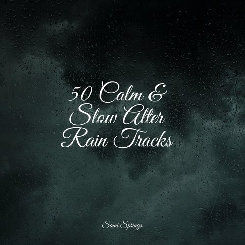 50 Calm &amp; Slow Alter Rain Tracks_poster_image