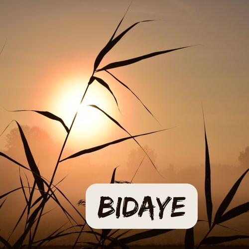 BIDAYE