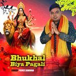 Bhukhal Biya Pagali Ye Mai