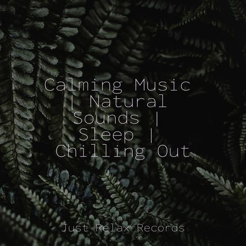 Soulful Scales cover art