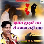 Daman Tumhare Gam Se Bachaya Na Gaya (Hindi Ghazal)