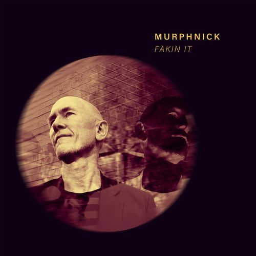 Fakin It cover art