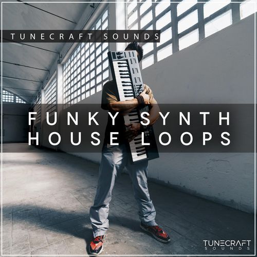Funky Synths House