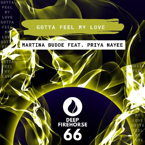 Gotta Feel My Love (Original Mix)