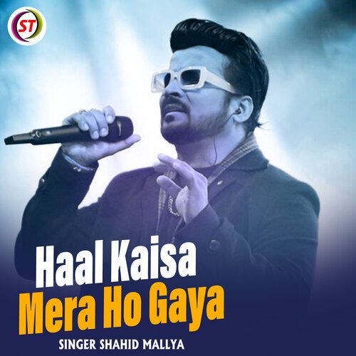 Haal Kaisa Mera Ho Gaya (Hindi)