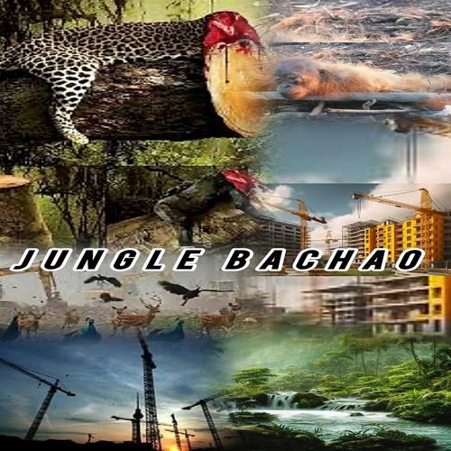 Jungle Bachao
