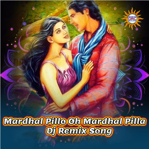 Mardhal Pillo Oh Mardhal Pilla (DJ Remix Song)