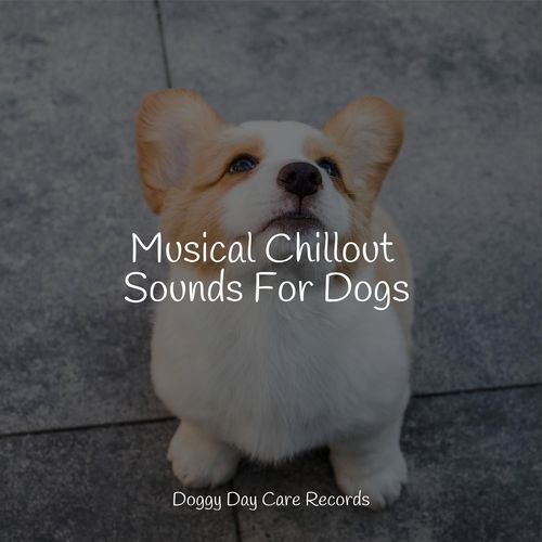 Musical Chillout Sounds For Dogs_poster_image