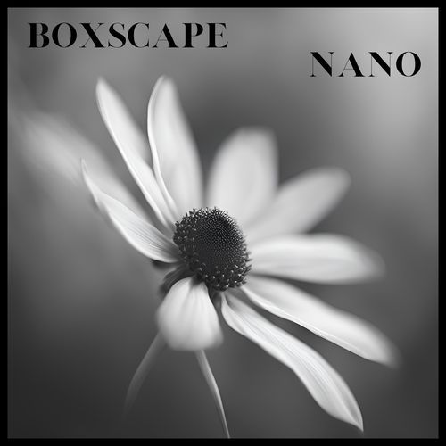 NANO