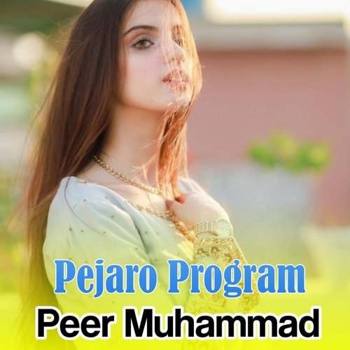 Pejaro Program