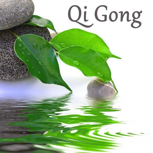 Qi Gong cover art