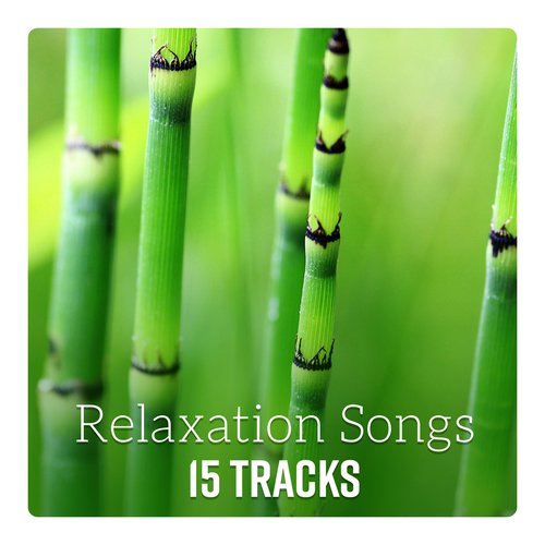 Tibetan Meditation cover art